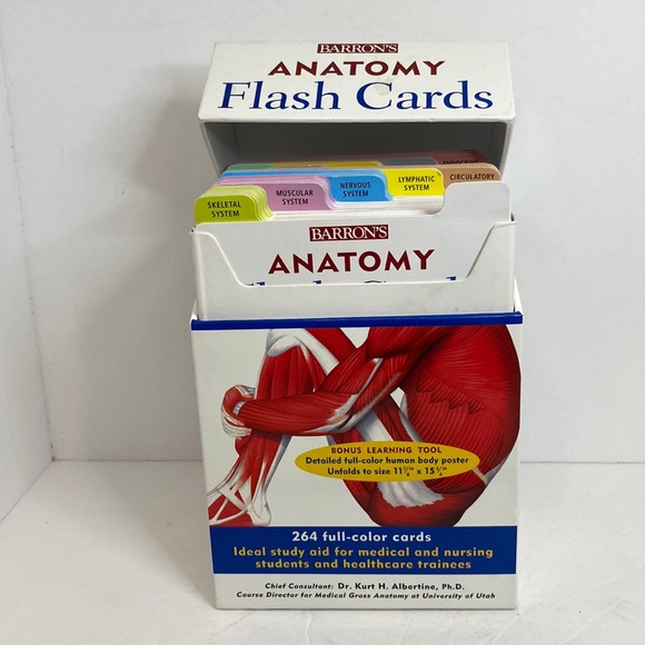 Barron’s Other Barrons Anatomy Flash Cards With Bonus Poster Poshmark